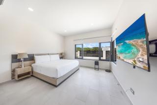 LUX 4BR and 3BA Villa with Pool Malmokweg 48 by Bocobay - Palm-Eagle Beach - 5