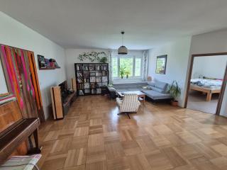 Panorama view apartment - Muglinov - 5