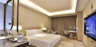 Xi'an Jinling Purple Mountain Hotel - Xian - 3