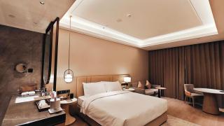 Xi'an Jinling Purple Mountain Hotel - Xian - 4