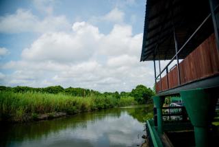 Grand Palace Hotel, Seeduwa - Seeduwa - 3