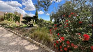 Tiny House du Mas de la Calabro - La Valette-du-Var - 6