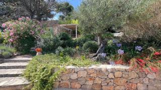 Tiny House du Mas de la Calabro - La Valette-du-Var - 5