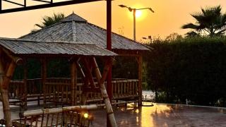Shreehans Farms in Noida top covered Pool - Greater Noida - 9