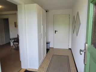 apartmentHAUSmannstätten - Hausmannstätten - 3