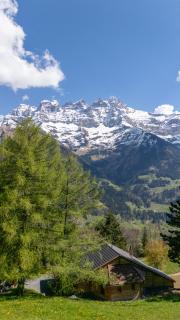 Chalet Plalessu - Latitude Champéry - - 8