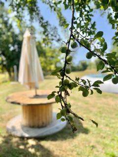 Voilà Le Logat - Chambres & Gîtes - 2