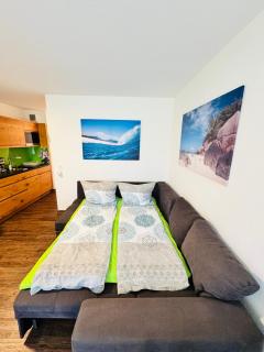 Michels Apartment - Titisee-Neustadt - 9