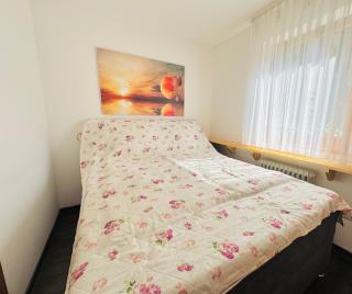 Michels Apartment - Titisee-Neustadt - 8