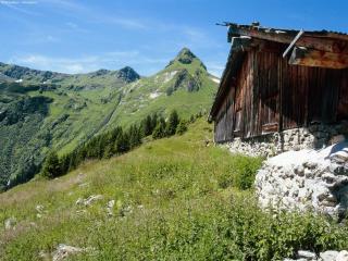 Modern chalet with sauna near ski area in Saalbach-Hinterglemm Salzburgerland - Saalbach-Hinterglemm - 1