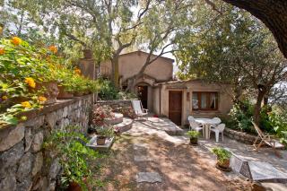 Bed and Breakfast Tenuta Palmieri ONLY ADULT - Maratea - 5