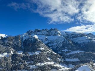 Chalet Plalessu - Latitude Champéry - - 4