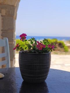 Thea Studio Paros - Logaras - 9
