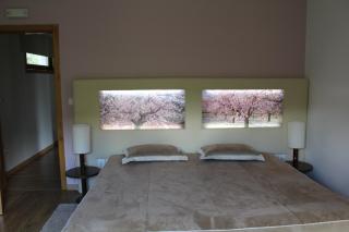 Apartamento Terra das Amendoeiras - Bragança - 8