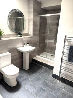 Waterloo Apartment Two - Radstock - 3