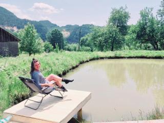 RETREAT CĂSUȚA TRADIȚIONALĂ,Roşia Montana - Roşia Montană - 0