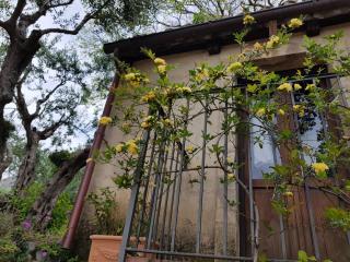 Bed and Breakfast Tenuta Palmieri ONLY ADULT - Maratea - 3