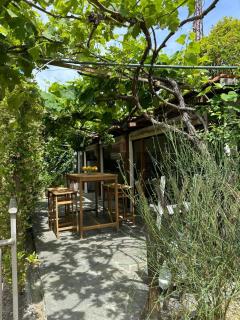 Villa Bruna B&B - Sanremo - 1