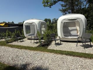 Direkt am Wallersee - Cubes - Henndorf am Wallersee - 5
