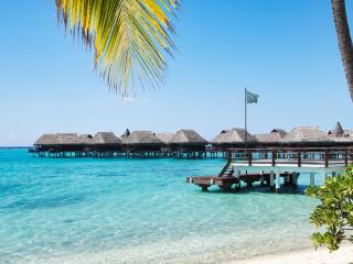 Sofitel Kia Ora Moorea Beach Resort - Maharepa - 9