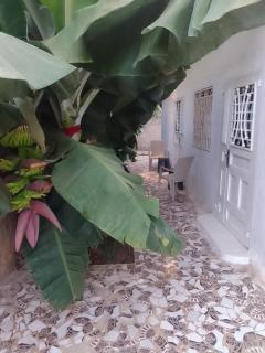 LMD Apartments - Kololi - 8