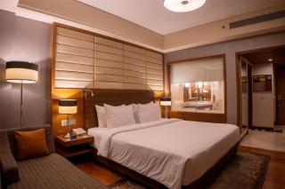 Radisson Blu Hotel, Nagpur - Nagpur - 4