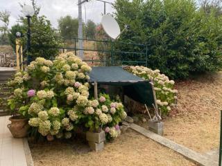 Borgo San Pietro - Deiva Marina - 5