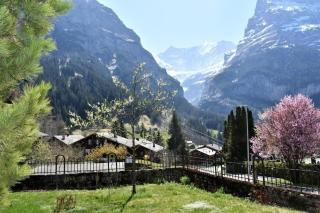 Hohturnen 35 Zimmer Wohnung - Grindelwald - 4