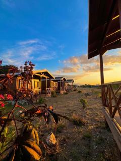 Satsumania Village - Parlak - 0