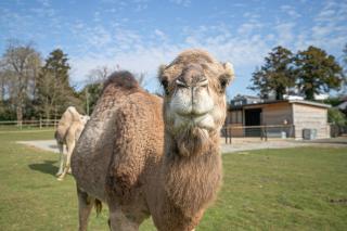 Fairytale Staycation - Near London by Damask Homes - Stapleford Tawney - 7