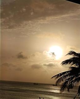 Homestay Dâu - - 1