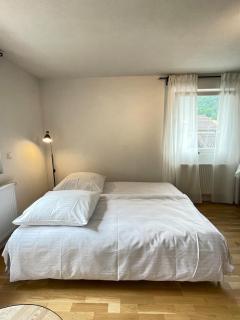 Auszeit im Grünen - citynah - Baden-Baden - 6