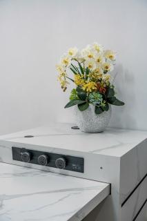 Chuỗi Homestay chính chủ tại Hạ Long - Ha Long - 1