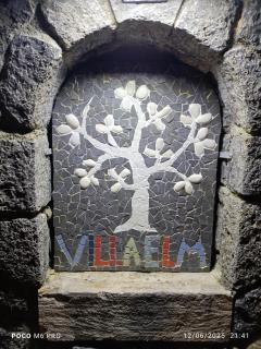 Villa Elm - 7