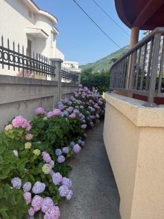 Apartmani590 - Šušanj - 6