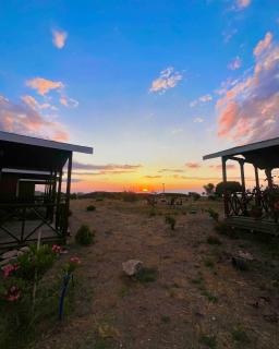 Satsumania Village - Parlak - 6