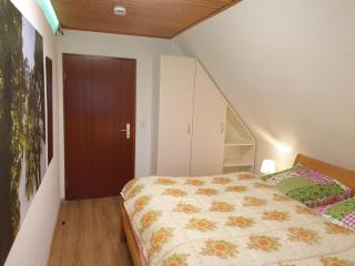 Uhlberg45 Vogelnest Treuchtlingen - Treuchtlingen - 7