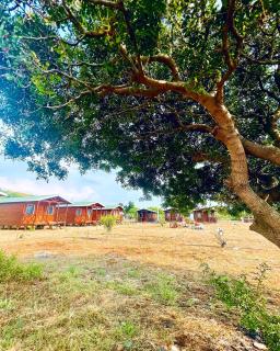 Satsumania Village - Parlak - 7