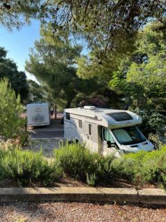 New campers, full grazing, HIT - Warsaw - 5