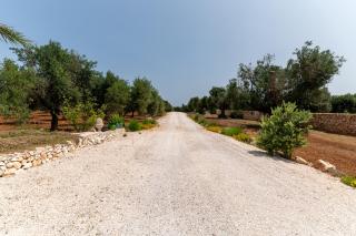 TRULLO il MAGNIFICO - Carovigno - 8