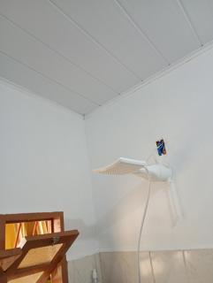 Hostel Brisa Mar - 1