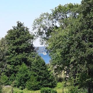 Wald und Meer - Glücksburg - 4