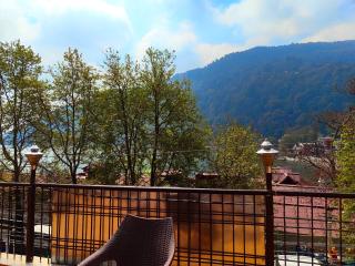 HOTEL NEW ! FLATIES ! PALACE Near LAKE - Full Naini Lake View and Mountain Valley View - Wi Fi - Room Service Available - A TOP RATED PREOPERTY - Nainital - 0