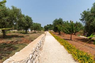 TRULLO il MAGNIFICO - Carovigno - 3