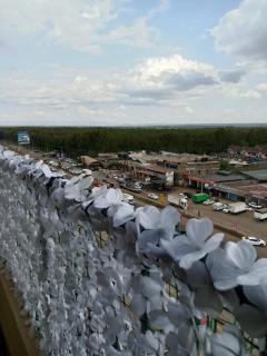 Relax Crib Kamakis - 7