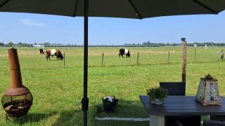 Glamping tent met privé sanitair - Hensbroek - 7