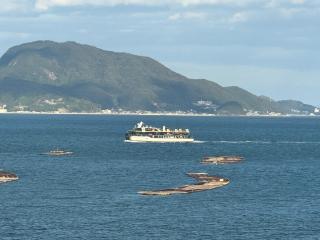 民泊大浦崎荘 - Kure - 5