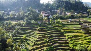 GJ Guest House Sidemen - 3