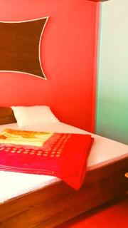 Krishn Kedar Resort - Phata - 1