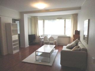 Luxhousing apartment with park view - Helsinki - 0